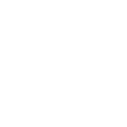 Digital Transformation in the Retail Industry