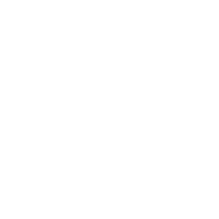 Develop the public organisations of the future